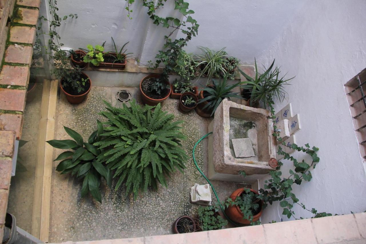 Las Coles Apartasuites Xàtiva Zewnętrze zdjęcie
