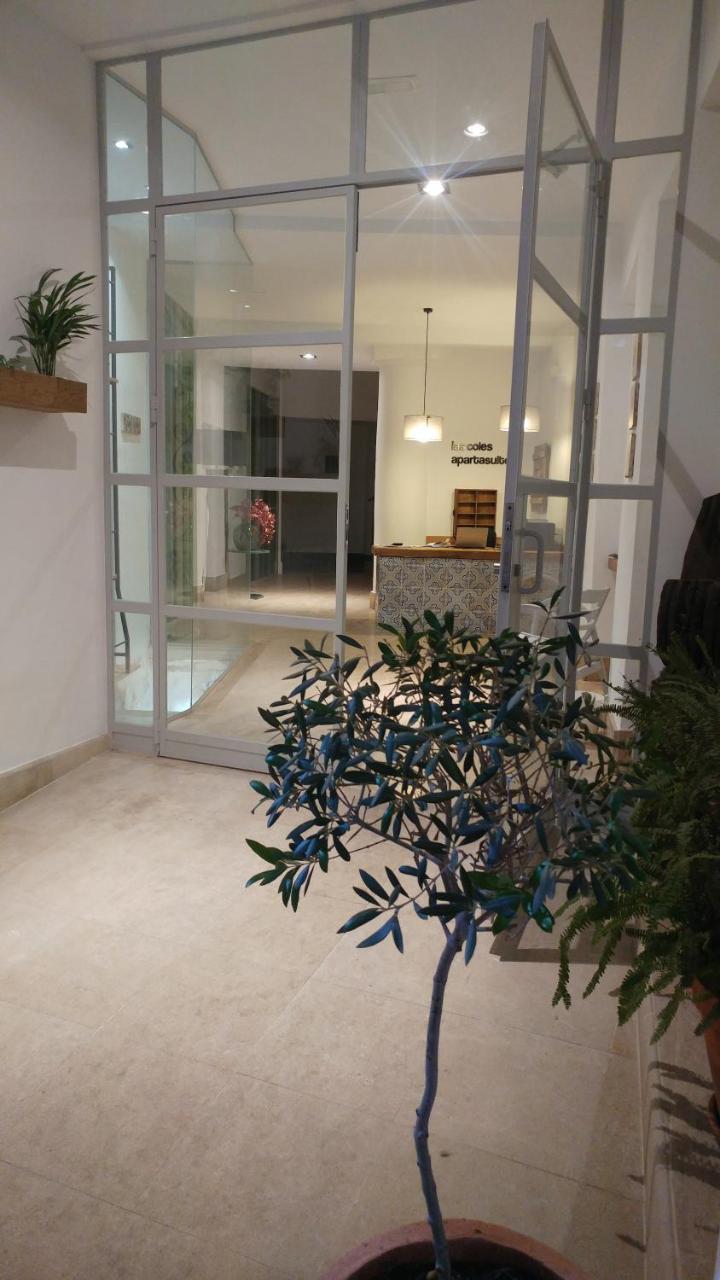 Las Coles Apartasuites Xàtiva Zewnętrze zdjęcie